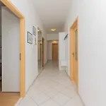Apartment Ljerka Daire *